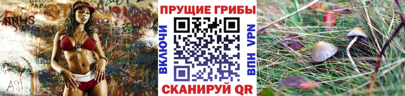 Галлюциногенные грибы Cubensis  наркота  Светлогорск 